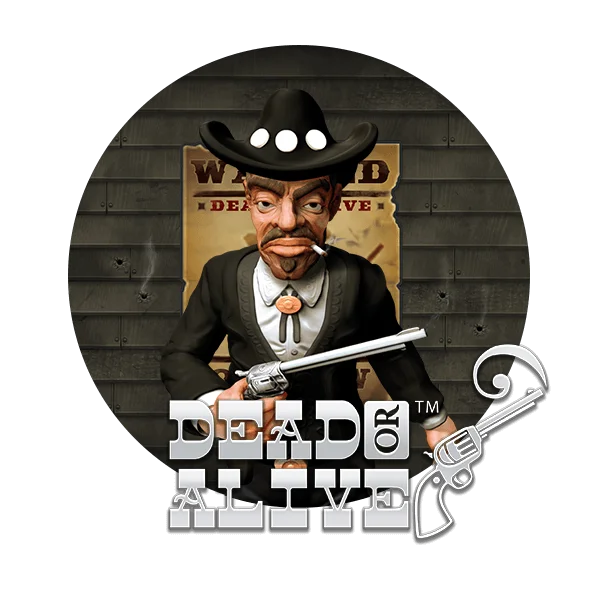 Dead or Alive 2 at Spiidi Casino